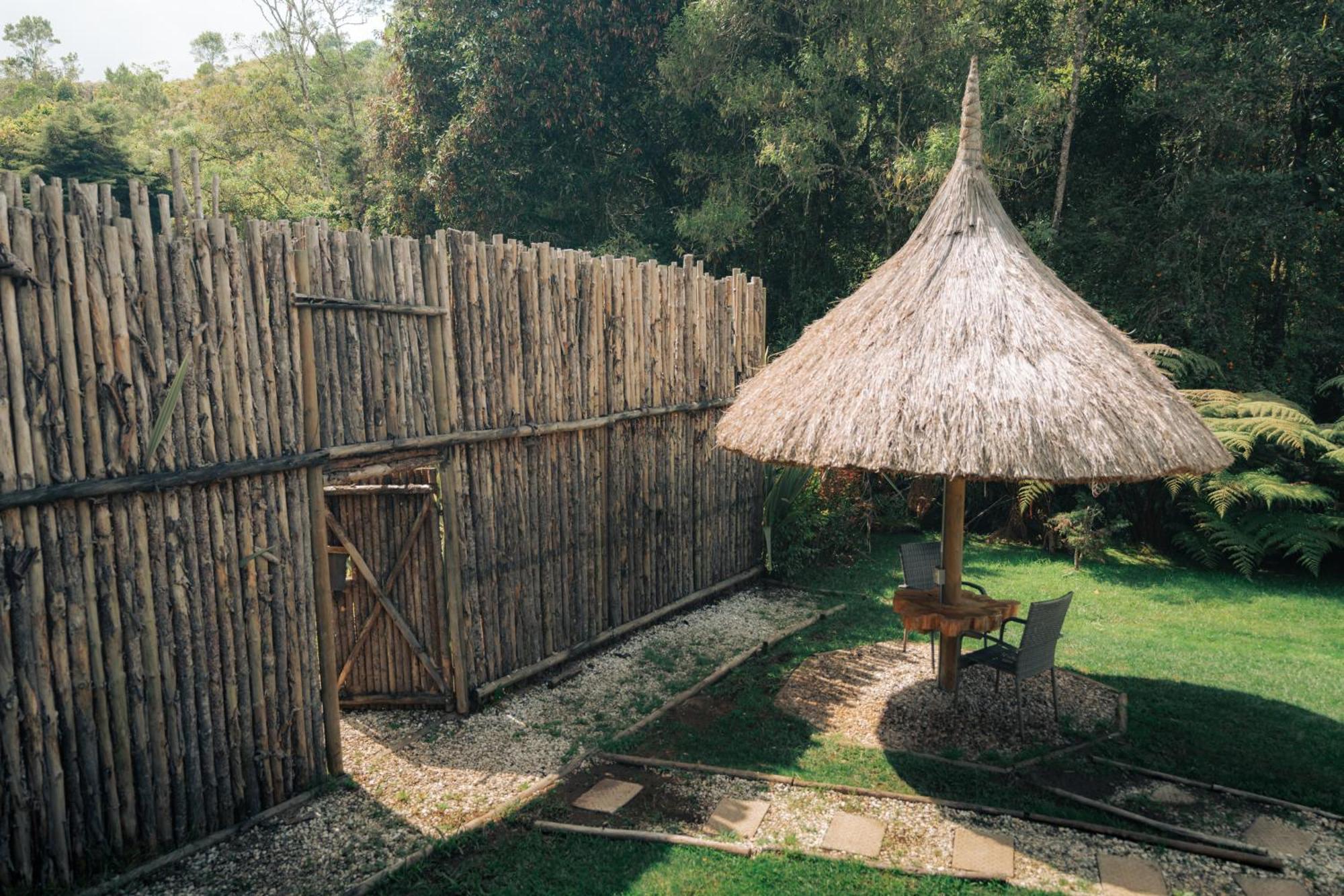 BubbleSky Glamping 15 min from Medellin Hotell Rionegro Eksteriør bilde