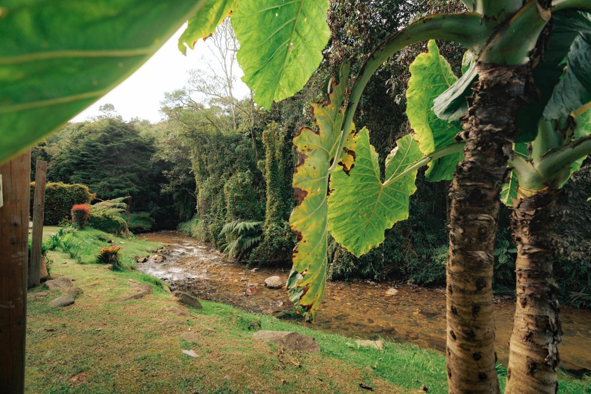 BubbleSky Glamping 15 min from Medellin Hotell Rionegro Eksteriør bilde