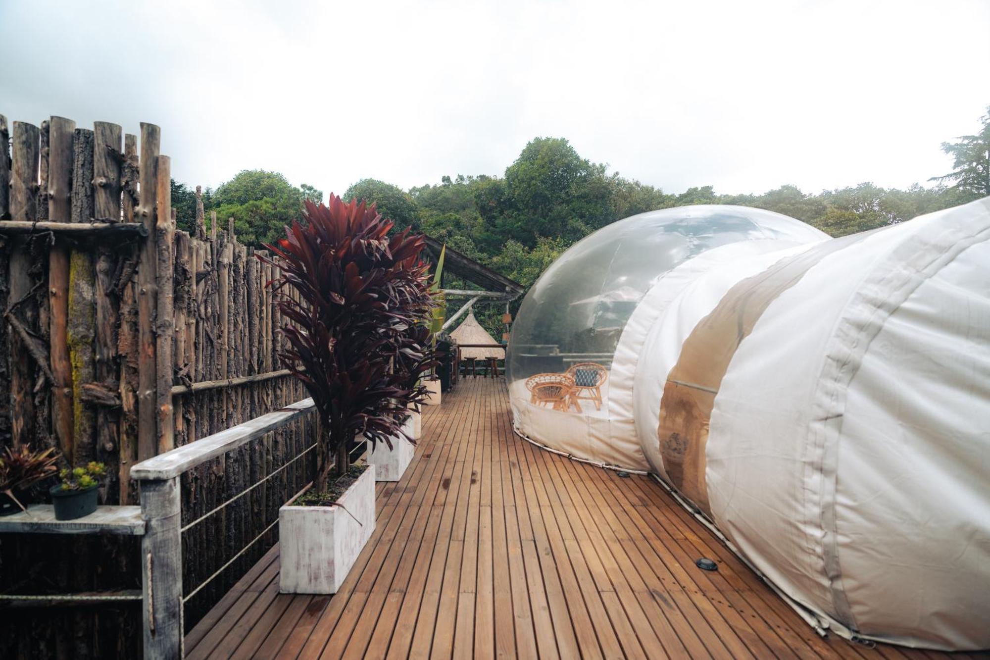 BubbleSky Glamping 15 min from Medellin Hotell Rionegro Eksteriør bilde