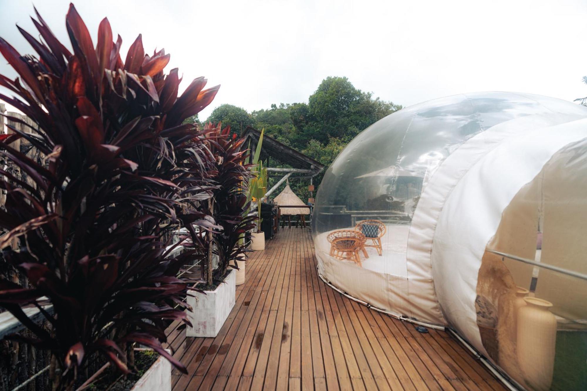 BubbleSky Glamping 15 min from Medellin Hotell Rionegro Eksteriør bilde