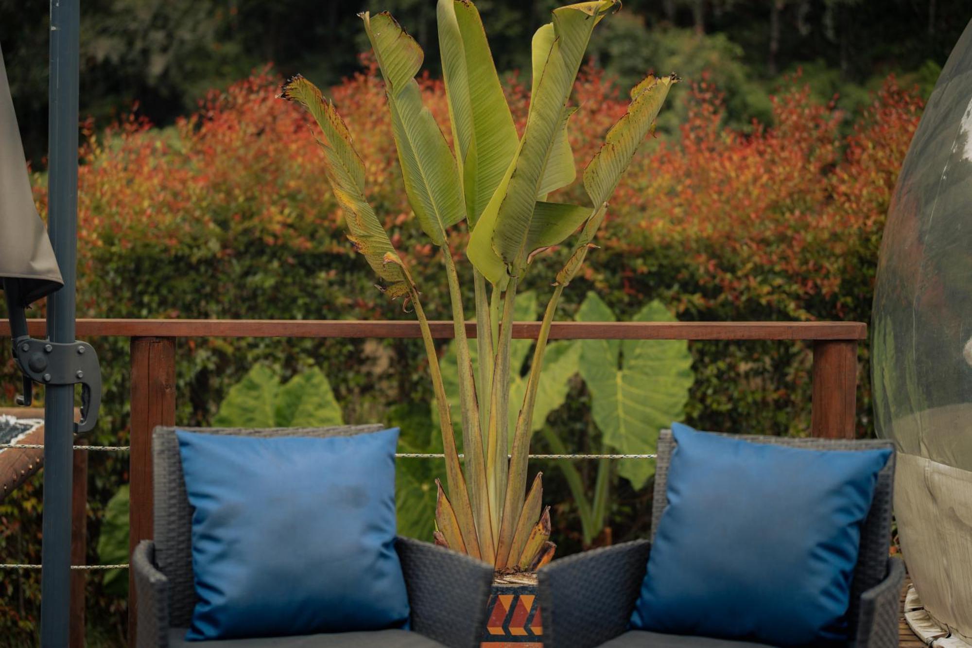 BubbleSky Glamping 15 min from Medellin Hotell Rionegro Eksteriør bilde